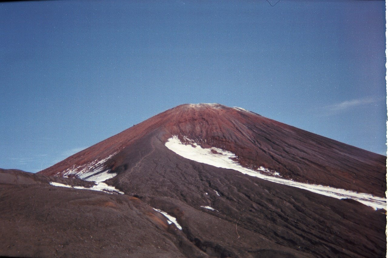 1125.jpg